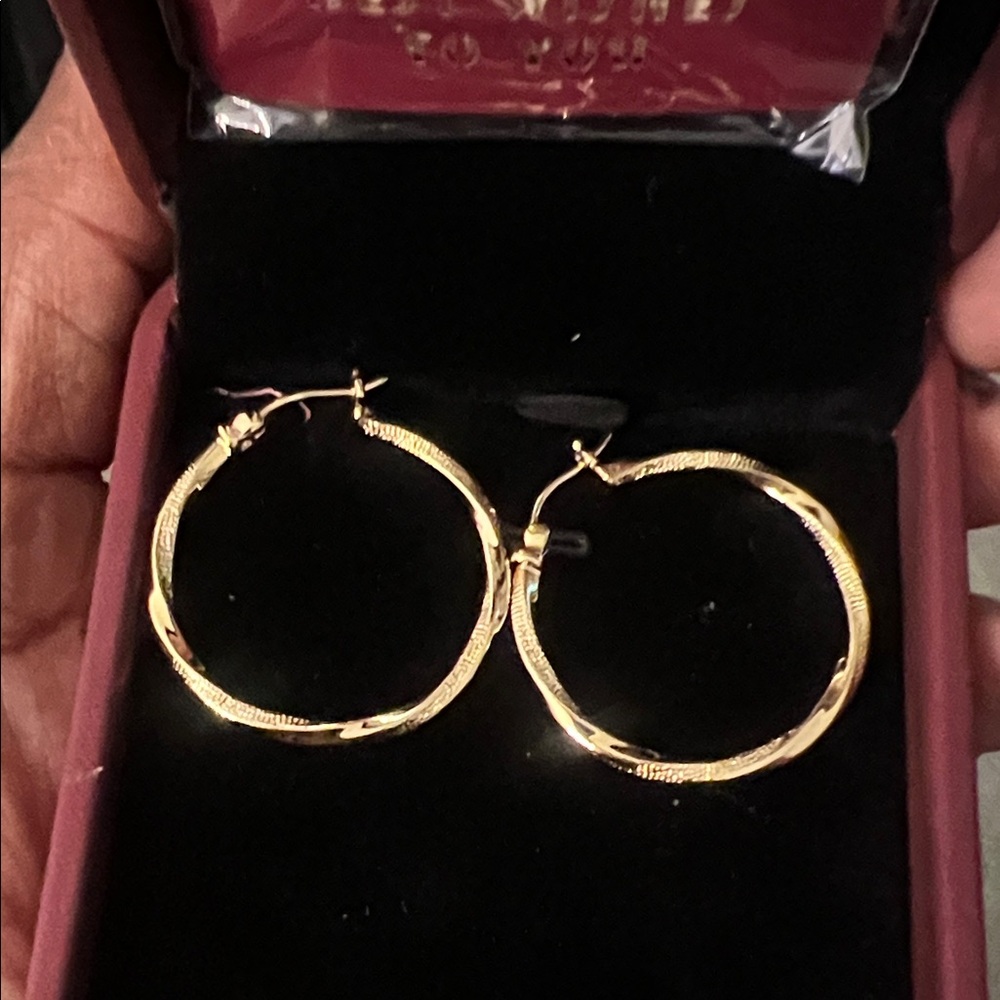 Elegant Gold Hoop Earrings